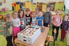IMG_20240225_193126