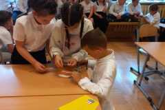 IMG-20230614-WA0003